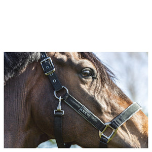 Anky – Licol grooming Noir Cheval  | Sellerie Bucéphale