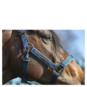 Anky – Licol grooming Bleu Marine Cheval  | Sellerie Bucéphale