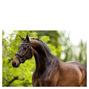 BR – Bridon BR Burford Noir Cheval  | Sellerie Bucéphale