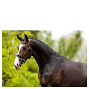 BR – Bridon BR Southam Noir-blanc Cheval  | Sellerie Bucéphale