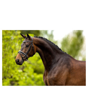 BR – Bridon BR Southam Noir-blanc Cheval  | Sellerie Bucéphale