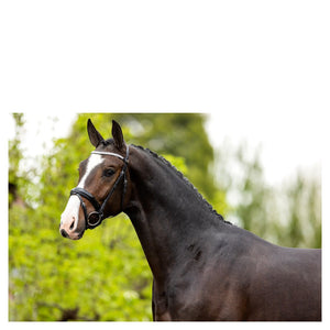 BR – Bridon BR Windermere Noir Cheval  | Sellerie Bucéphale