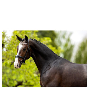 BR – Bridon BR Plymouth II Noir-blanc Pur-Sang (Cob)  | Sellerie Bucéphale