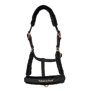 Back on Track – Licol Haze collection Noir  | Sellerie Bucéphale