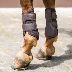 Guêtre 3D Mesh "Airflow" Back on Track Marron sur un cheval alezan | Sellerie Bucéphale