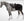 Back on Track – Couvre-reins polaire Suprême Noir sur cheval gris | Sellerie Bucéphale