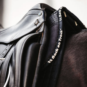 Back on Track – Amortisseur Aurora Default Title   | Sellerie Bucéphale