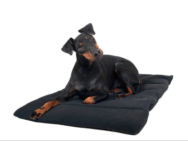 Back on Track – Plaid pour chien Back on Track Noir 50cm 68cm | Sellerie Bucéphale