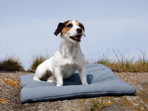 Back on Track – Plaid pour chien Back on Track Noir 50cm 68cm | Sellerie Bucéphale