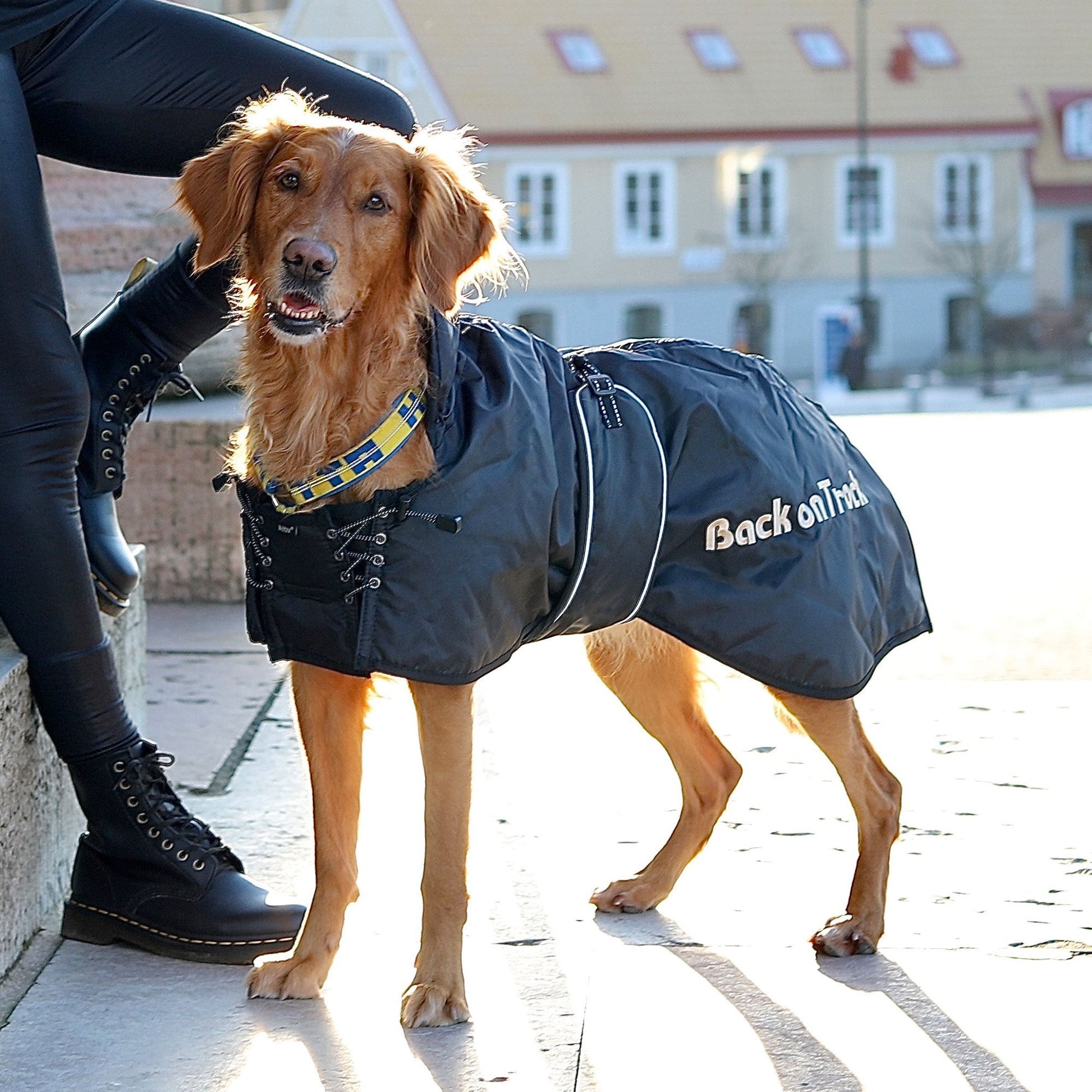 Back on Track – Manteau Standard pour chien Back on Track 21cm   | Sellerie Bucéphale