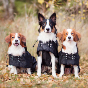 Back on Track – Manteau imperméable doublé 25cm   | Sellerie Bucéphale