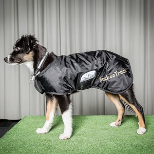 Back on Track – Collier pour chien Molly Back on Track 35cm   | Sellerie Bucéphale