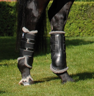 Mattès – Guêtres de Dressage Professional mouton Noir S Antérieurs | Sellerie Bucéphale