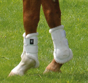 Mattès – Coque de remplacement pour guêtres Professional Blanc M Antérieurs | Sellerie Bucéphale