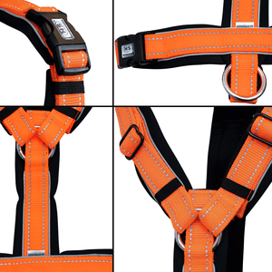Sprenger – Harnais pour chien Orange XL  | Sellerie Bucéphale