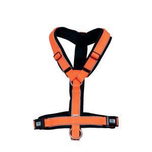Sprenger – Harnais pour chien Orange XL  | Sellerie Bucéphale