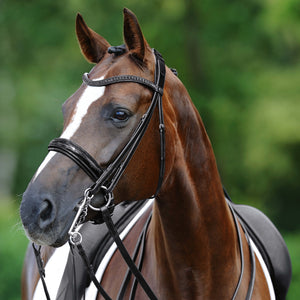 Passier – Bride Passier Hubertus Schmidt Noir Poney  | Sellerie Bucéphale