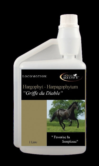 Horse Master – Hargophyt Default Title   | Sellerie Bucéphale