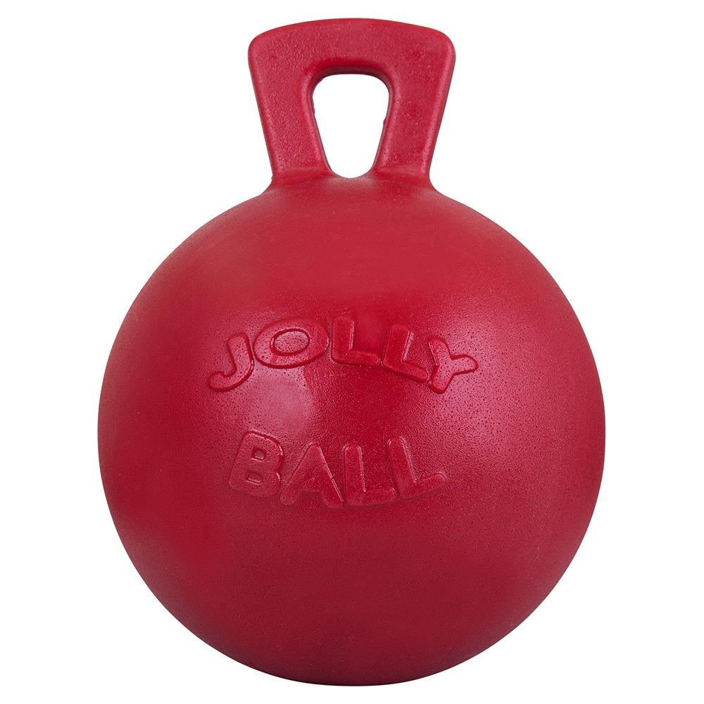 Divers – Jolly Ball violet   | Sellerie Bucéphale