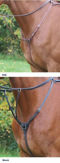 Image for Grudni remen s mostom Avignon Shires