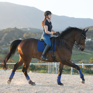Le Mieux – Tapis de Dressage Suede Square LeMieux Benetton Blue Dressage  | Sellerie Bucéphale