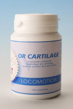 Or-Vet – OR-Cartilage Chien Boite de  60   | Sellerie Bucéphale