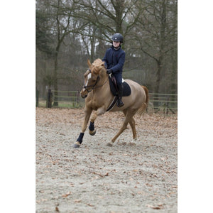 Back on Track – Tapis Back on Track N°1 Noir CSO Pur-Sang (Cob) | Sellerie Bucéphale