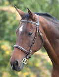 Image for Shires Blenheim Fancy Show Bridle