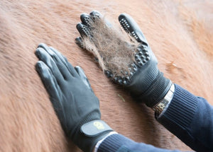 Divers – Gants Hands On Grooming M   | Sellerie Bucéphale