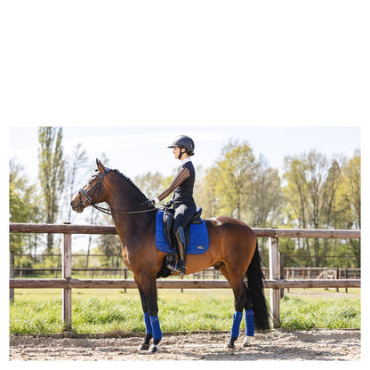 Anky – Tapis Anatomic Tech Dressage  Bleu roi Dressage cheval avec selle  | Sellerie Bucéphale