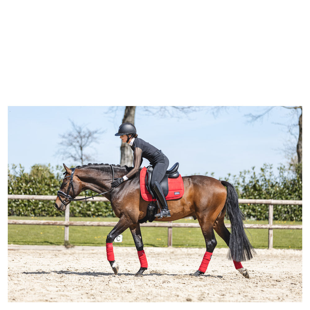 Anky – Tapis Anatomic Tech Dressage Rouge Dressage cheval avec selle  | Sellerie Bucéphale