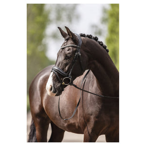 Anky – Bridon ergonomique ANKY Pullback Noseband    | Sellerie Bucéphale