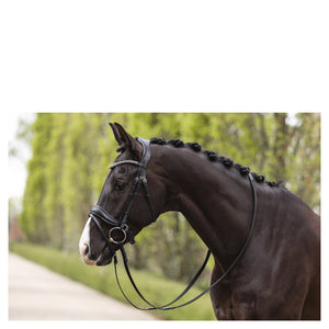 Anky – Bridon ergonomique ANKY Pullback Noseband    | Sellerie Bucéphale