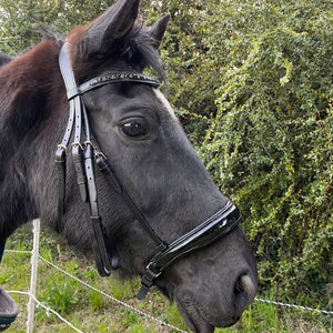 Bride Stallmeister Döbert Noir full coté droit | Sellerie Bucéphale