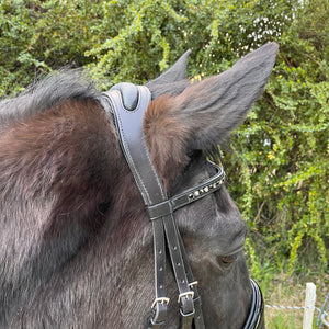 Bride Stallmeister Döbert Noir full têtière | Sellerie Bucéphale