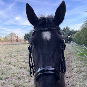 Bride Stallmeister Döbert Noir full face | Sellerie Bucéphale