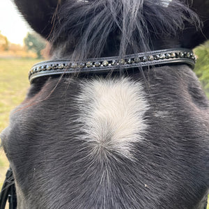 Bride Stallmeister Döbert Noir full frontal face | Sellerie Bucéphale