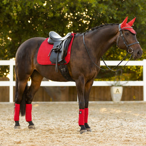 Le Mieux – Tapis de Dressage Suede Square LeMieux Chili Dressage  | Sellerie Bucéphale